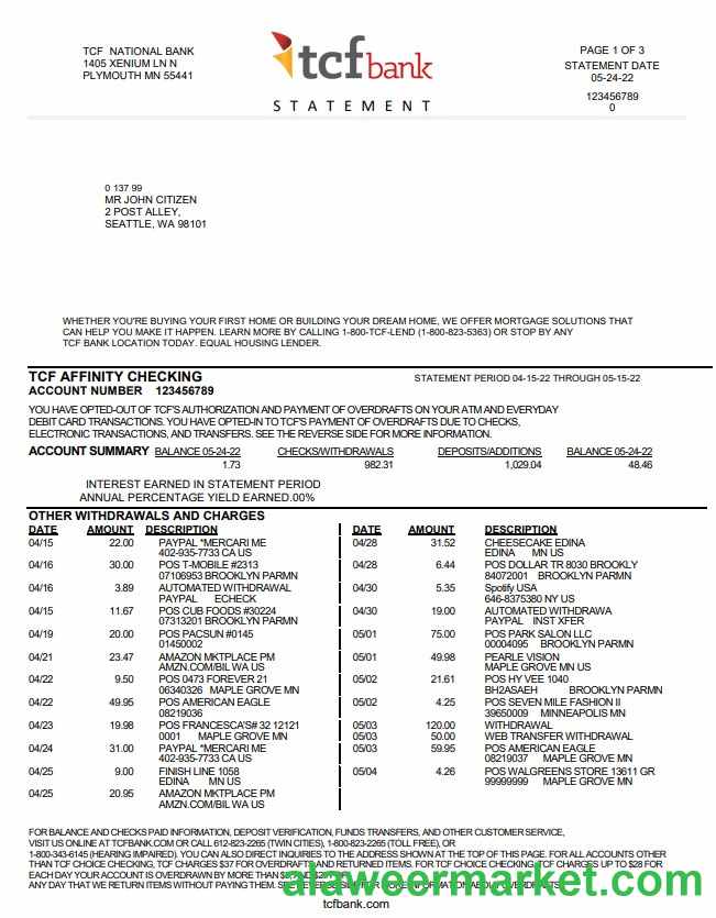 USA TCF Bank bank statement template in Word and PDF format